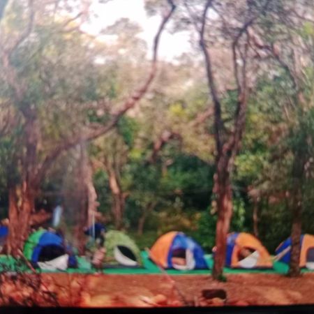 Hotel Hilltone- Matheran Luaran gambar
